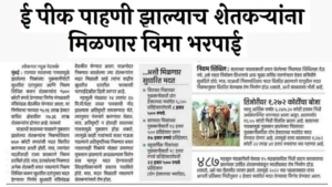 ई पीक पाहणी झाल्याच शेतकऱ्यांना मिळणार विमा भरपाई