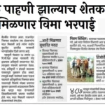 ई पीक पाहणी झाल्याच शेतकऱ्यांना मिळणार विमा भरपाई
