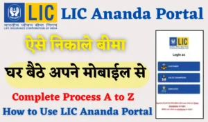 lic new policy