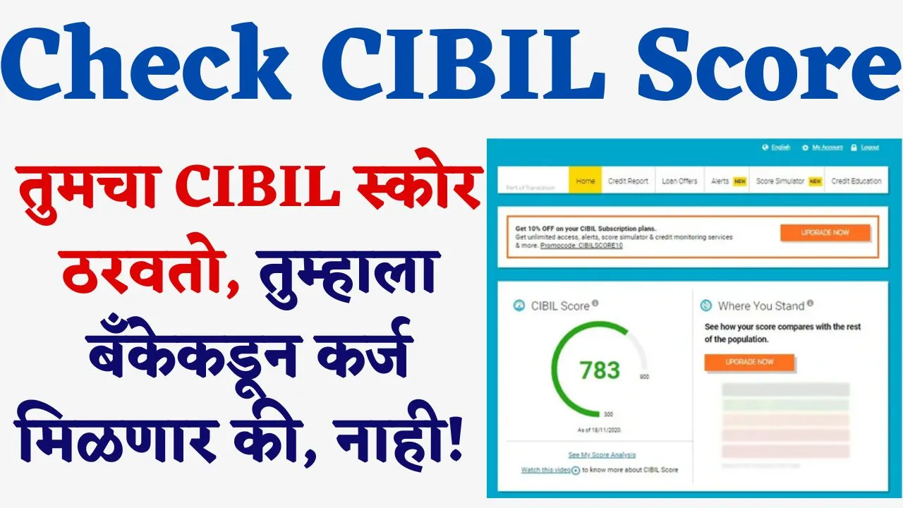 cibil report