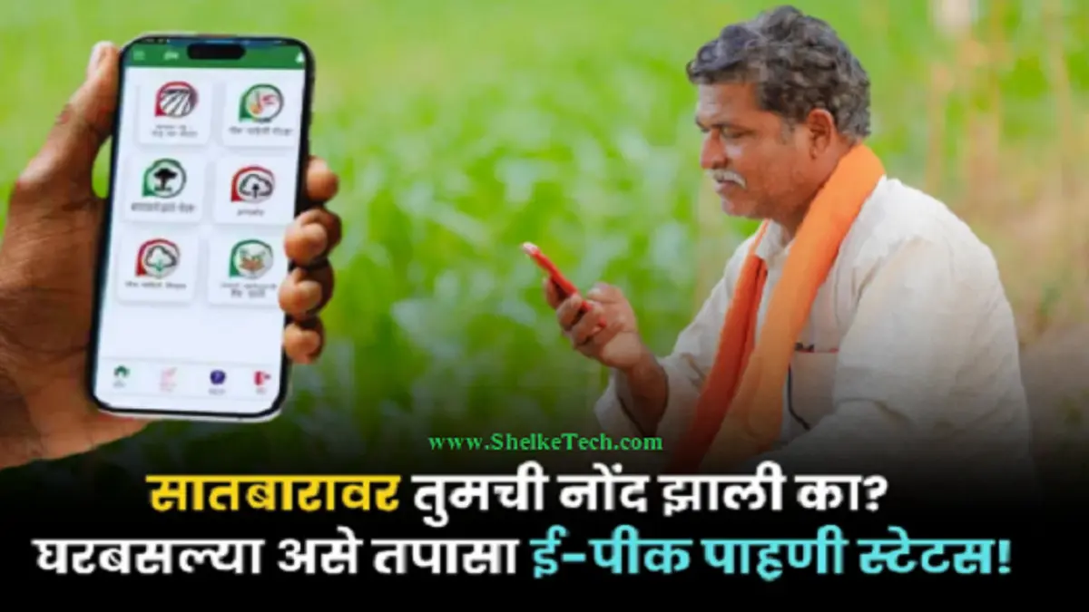 ई पीक पाहणी पहा झाली का